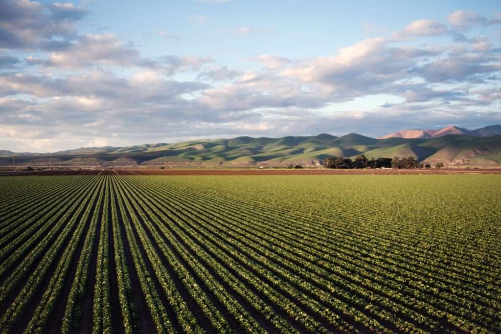 environment scaled 1 California Commercial Insurance Services Commercial Insurance Home Commercial Insurance